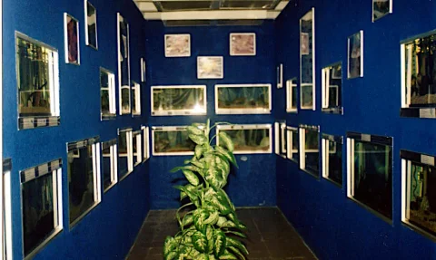 Interior del área de exhibición del acuario, con peceras en las paredes