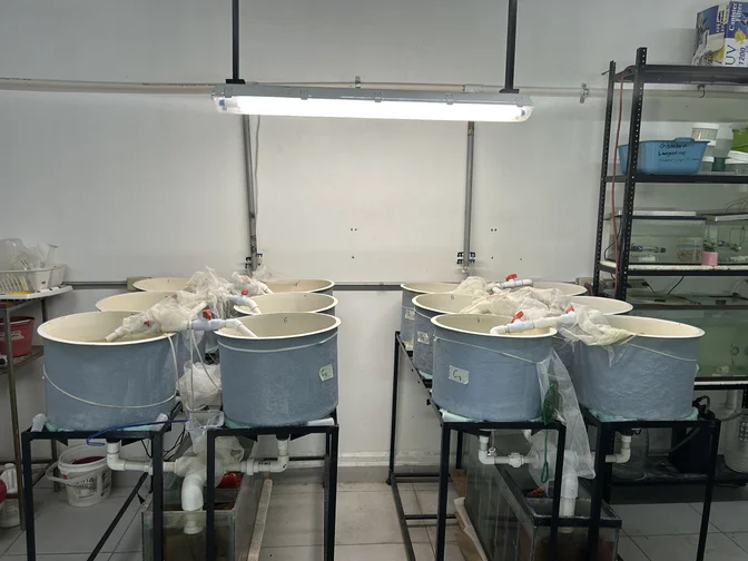Tanques del anexo del Laboratorio de Producción Acuícola.
