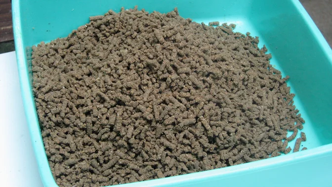 Alimento preparado para el trabajo de nutrición acuícola.