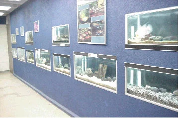 Área de exhibición en una fotografía histórica.