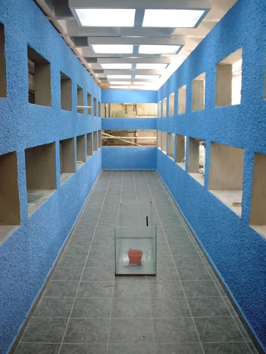 Pasillo de exhibición durante una etapa anterior del acuario.