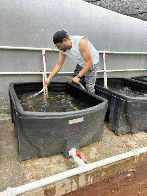 Trabajo práctico con una red en un tanque de cultivo.