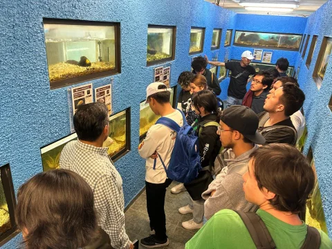 Un grupo escucha una explicación durante su recorrido por el acuario.