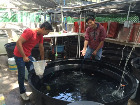 Trabajo en equipo alrededor de un tanque del área de cultivo.