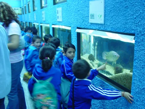 Un grupo de escolares observa las peceras durante una visita guiada.