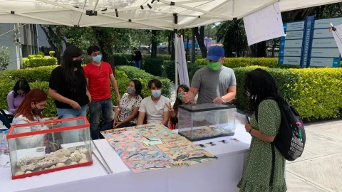 Participación del acuario en un evento de divulgación al aire libre.