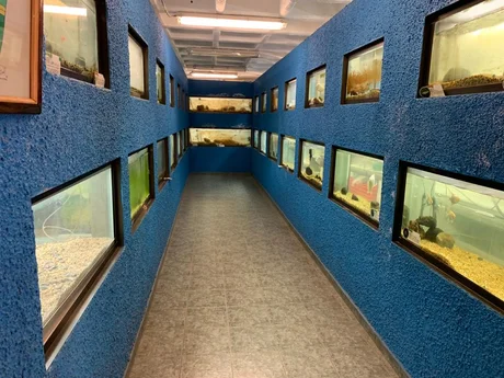 Pasillo del área de exhibición del acuario.