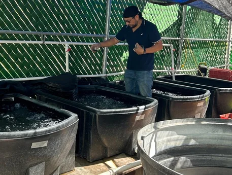 Trabajo con los tanques en la zona de cultivo.