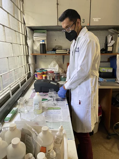 Actividad de laboratorio con organismos acuáticos.